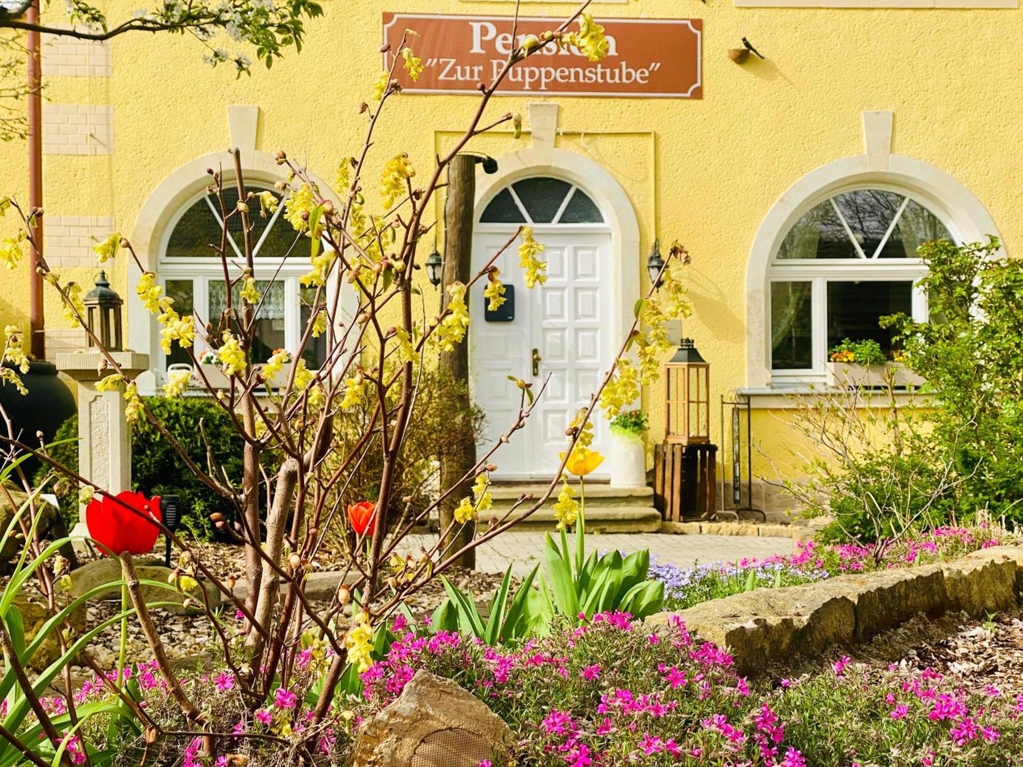 Restaurant und Pension Zur Puppenstube Stolpen Bagian luar foto